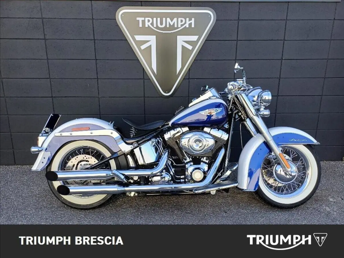 Harley-Davidson 1584 Deluxe (2007 - 08) - FLSTN