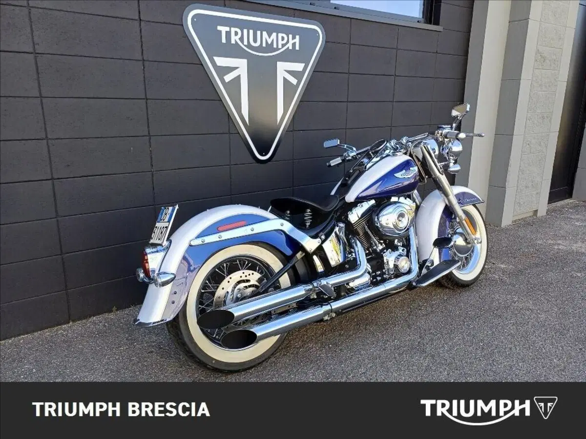 Harley-Davidson 1584 Deluxe (2007 - 08) - FLSTN (3)