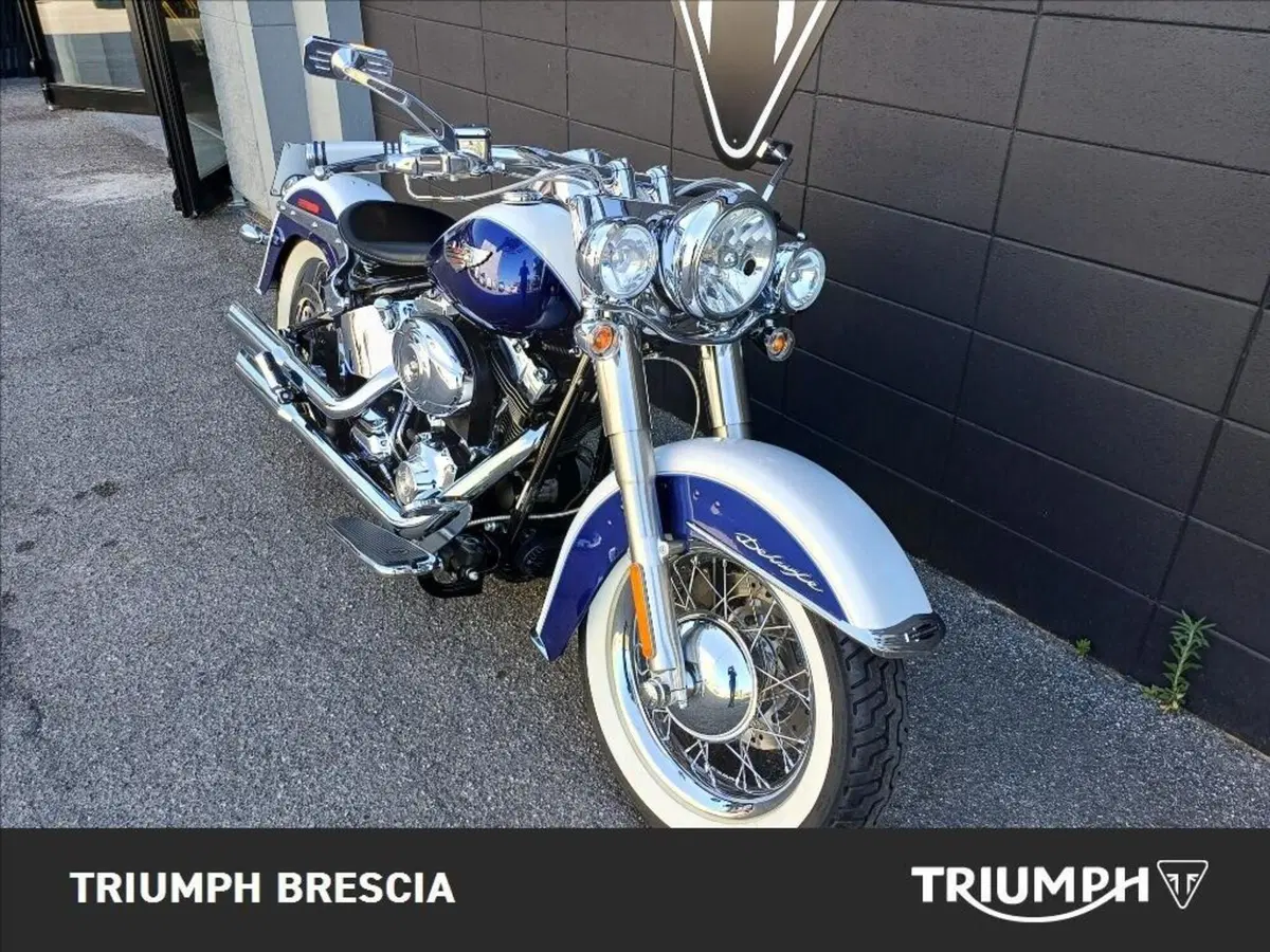 Harley-Davidson 1584 Deluxe (2007 - 08) - FLSTN (7)