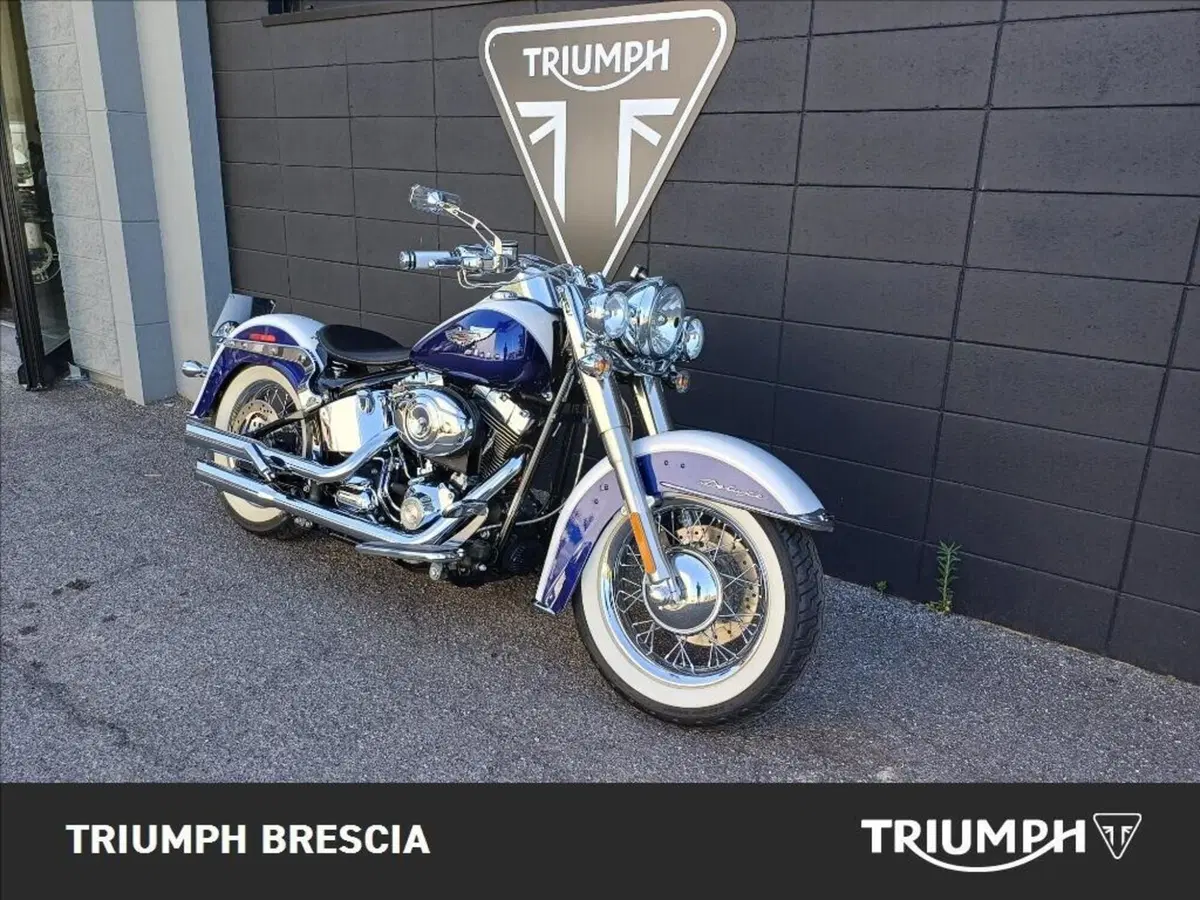 Harley-Davidson 1584 Deluxe (2007 - 08) - FLSTN (2)