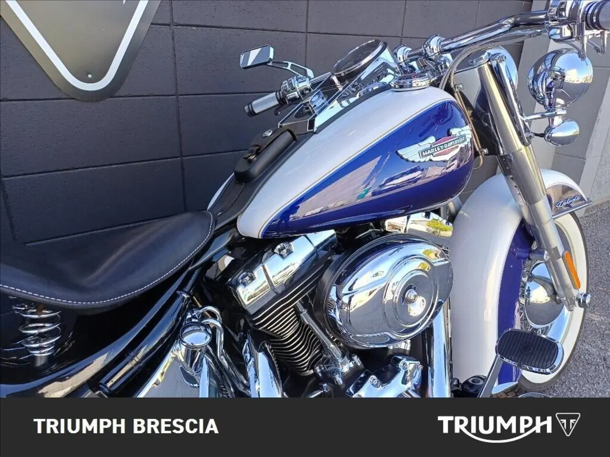 Harley-Davidson 1584 Deluxe (2007 - 08) - FLSTN (6)