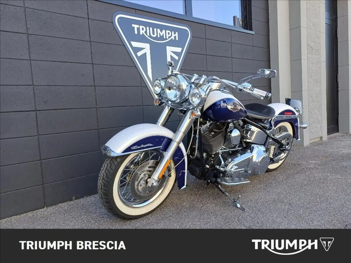 Harley-Davidson 1584 Deluxe (2007 - 08) - FLSTN (13)