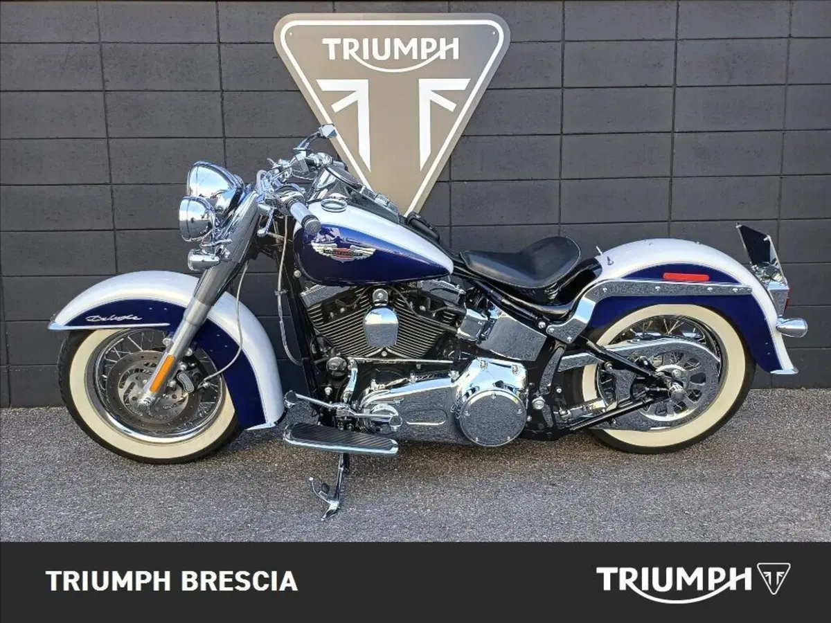 Harley-Davidson 1584 Deluxe (2007 - 08) - FLSTN (12)