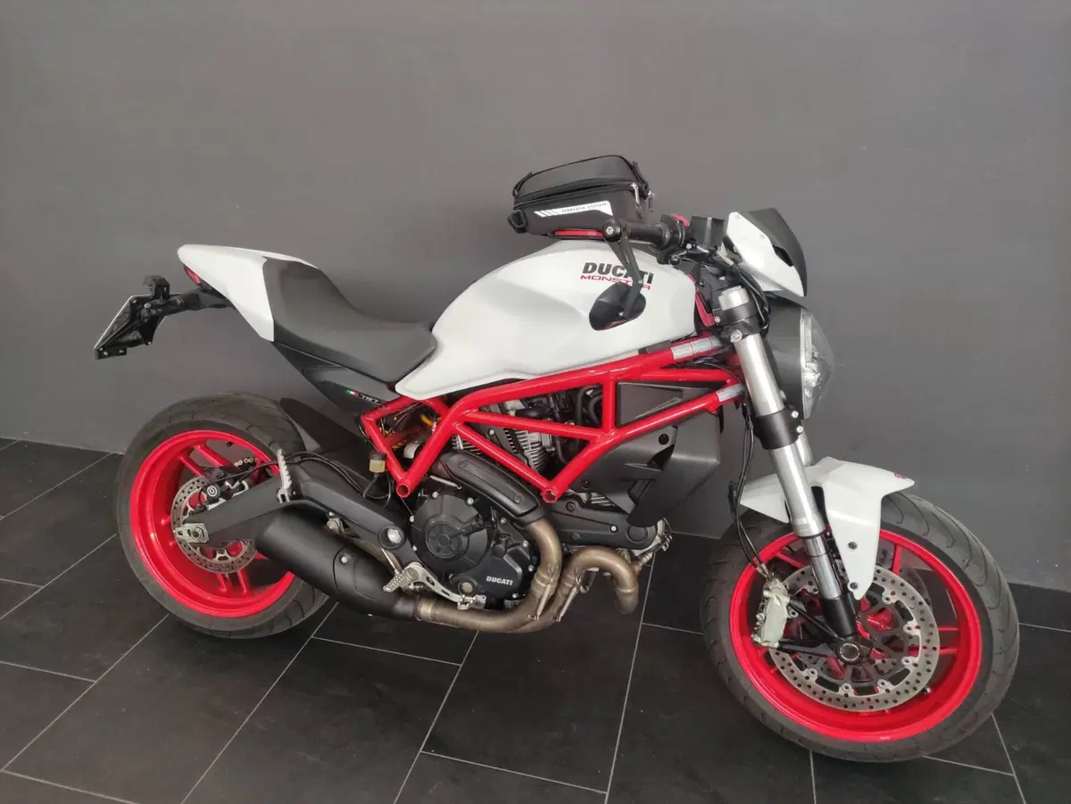 Ducati Monster 797 Plus (2019) (2)