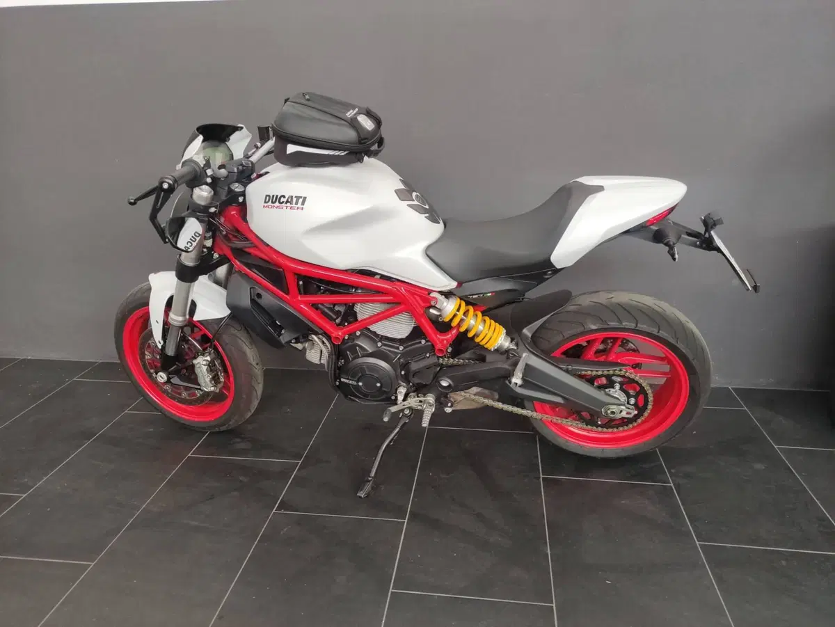 Ducati Monster 797 Plus (2019) (3)