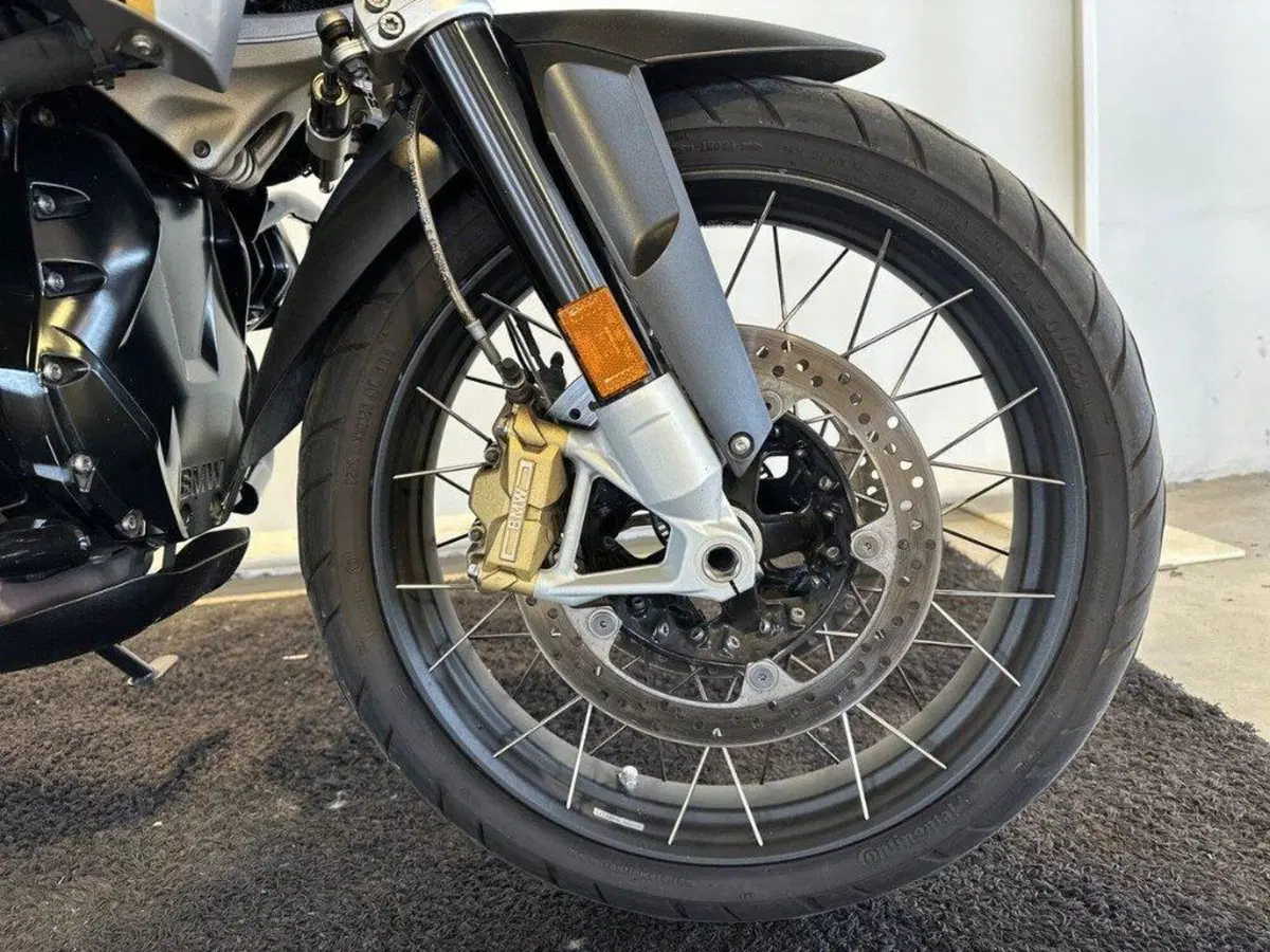 Bmw R 1250 GS (2019 - 20) (8)