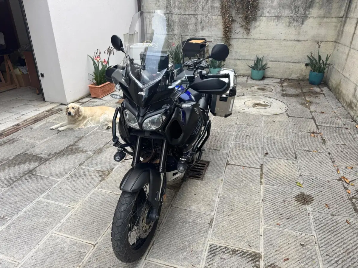 Yamaha XT1200ZE Super Ténéré (2017 - 20) (2)