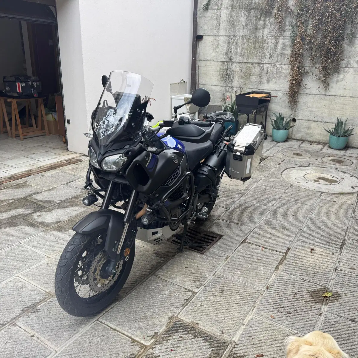 Yamaha XT1200ZE Super Ténéré (2017 - 20) (12)