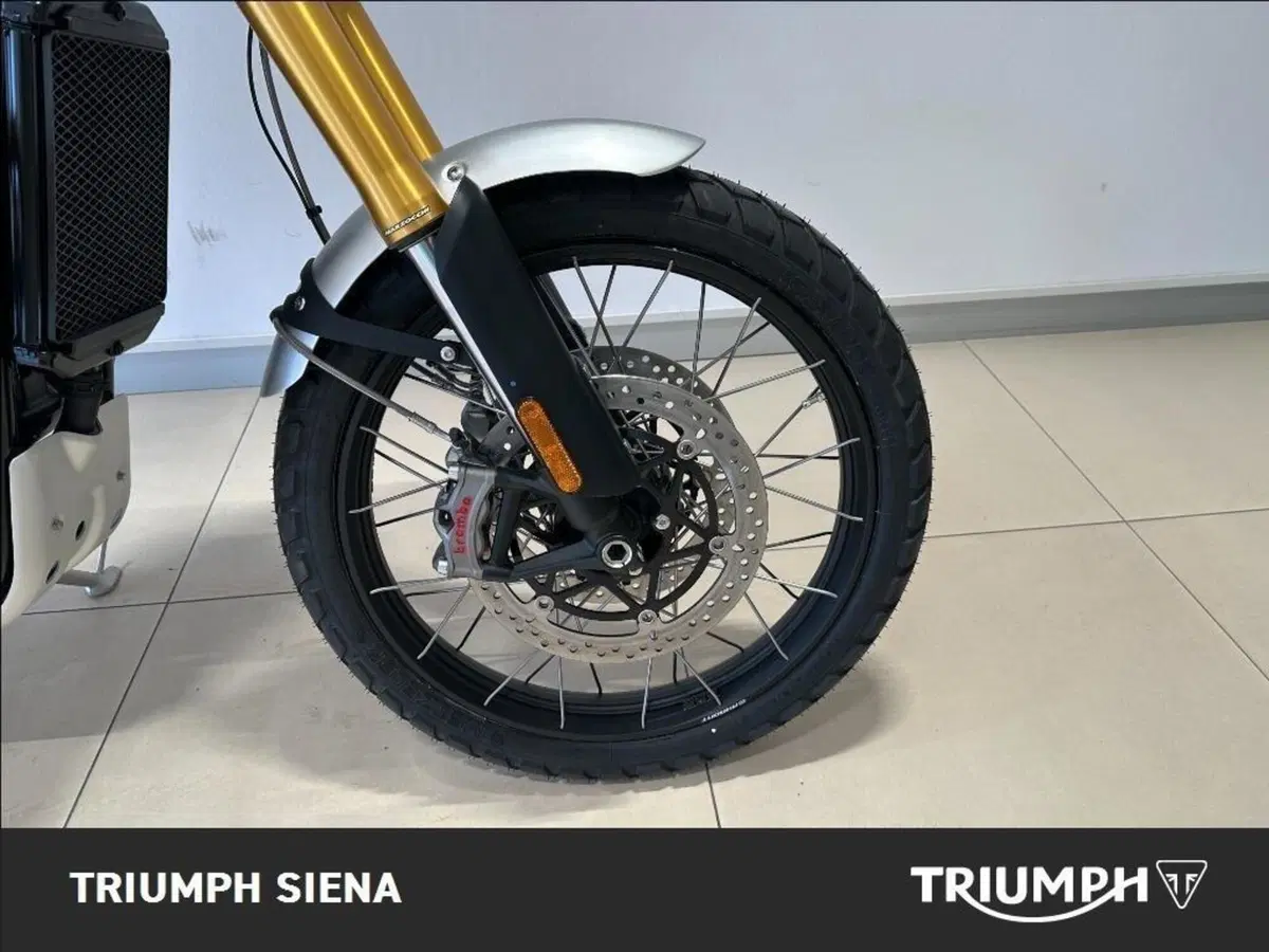 Triumph Scrambler 1200 XE (2024 - 25) (4)