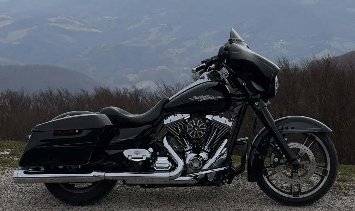 Harley-Davidson 1690 Street Glide Special (2014 - 16) - FLHX (5)