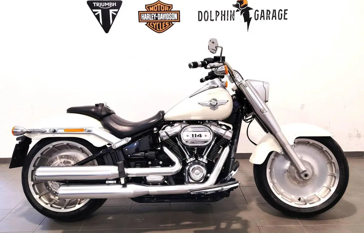 Harley-Davidson 114 Fat Boy (2018 - 20) - FLFBS (2)