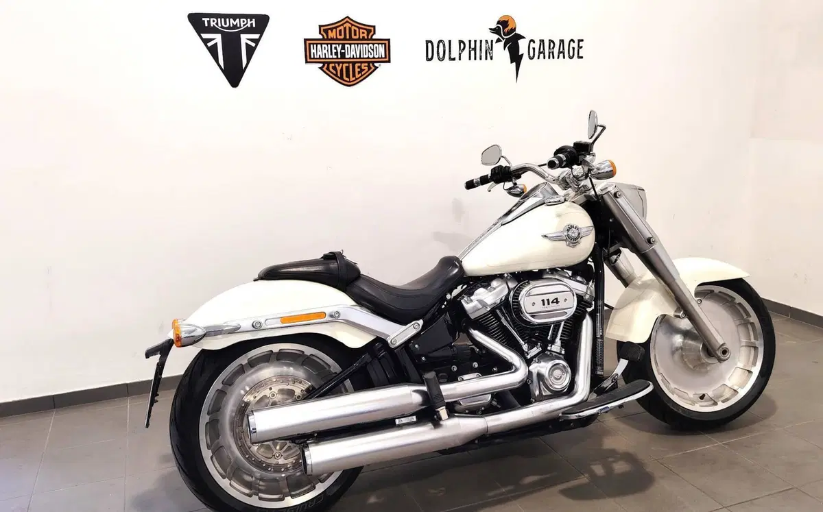 Harley-Davidson 114 Fat Boy (2018 - 20) - FLFBS (3)