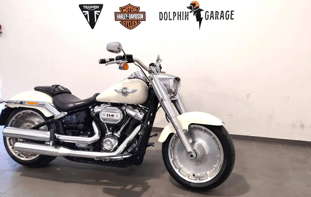 Harley-Davidson 114 Fat Boy (2018 - 20) - FLFBS (4)