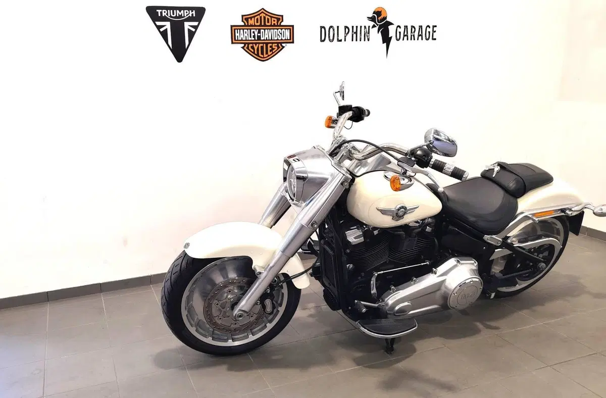 Harley-Davidson 114 Fat Boy (2018 - 20) - FLFBS (9)