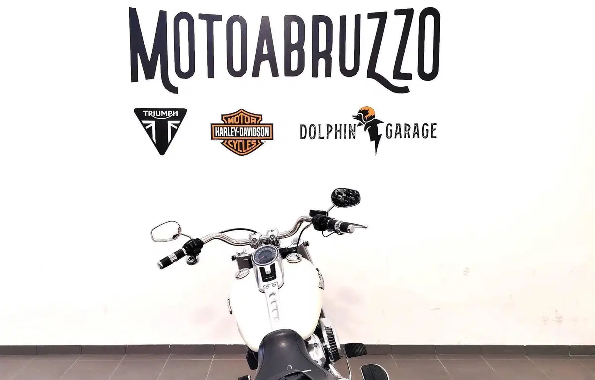 Harley-Davidson 114 Fat Boy (2018 - 20) - FLFBS (12)