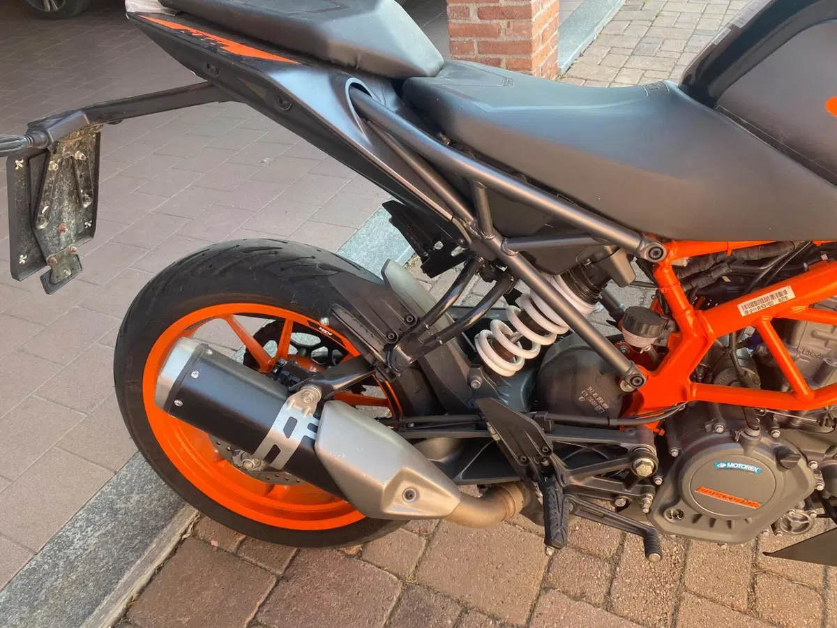 KTM 125 Duke (2021 - 23) (7)