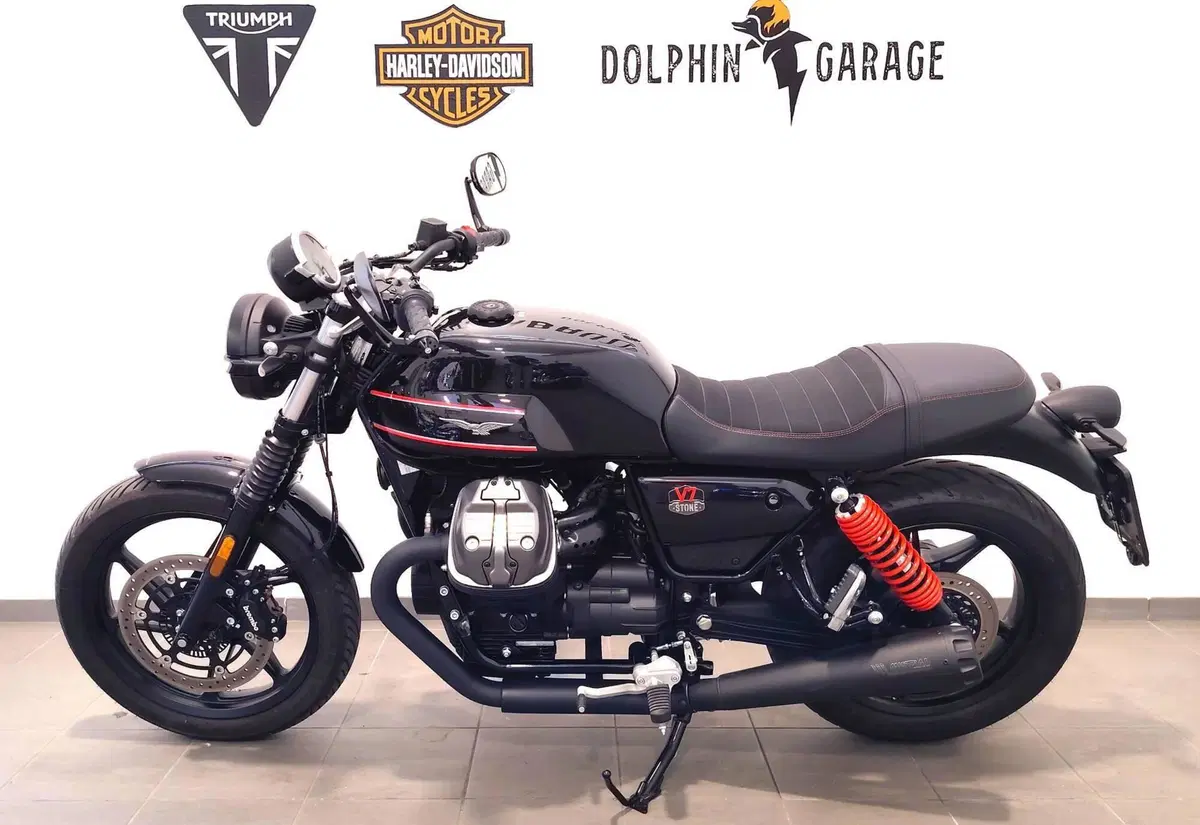 Moto Guzzi V7 Stone Corsa (2023 - 25) (8)