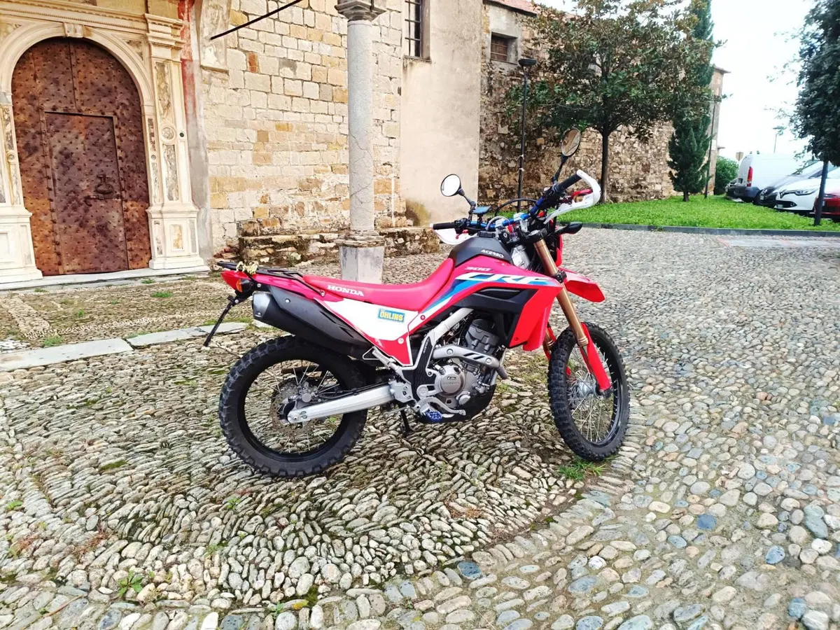 Honda CRF 300L (2021 - 24) (5)