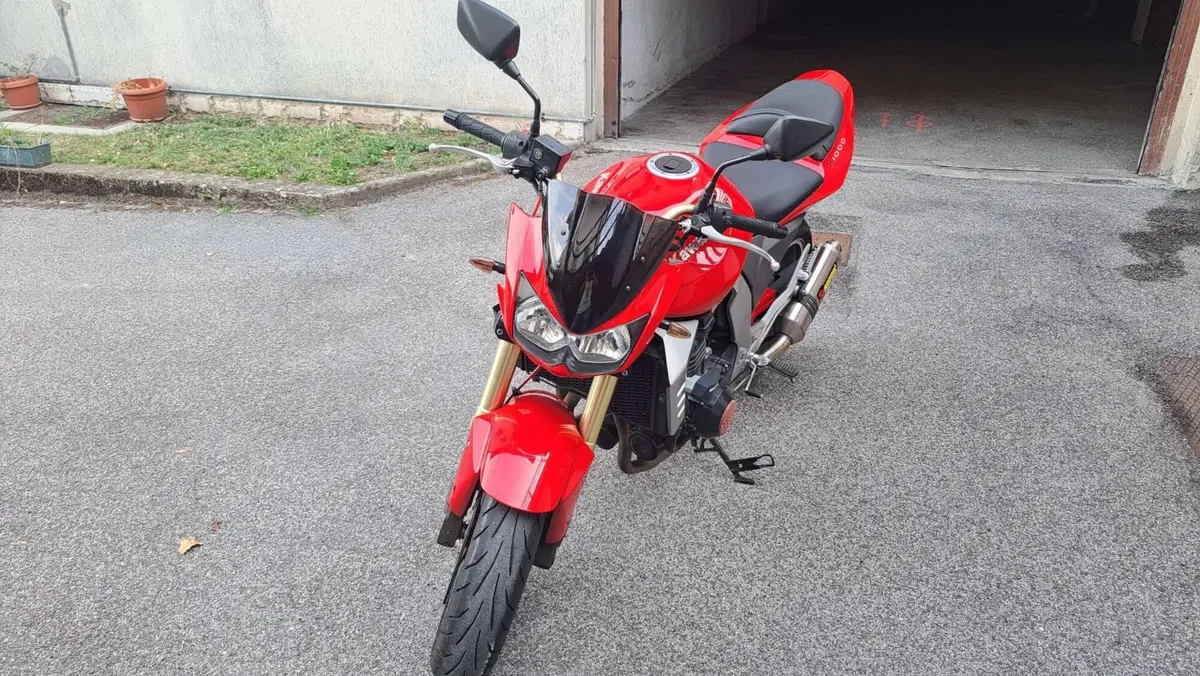 Kawasaki Z 1000 (2003 - 06) (5)
