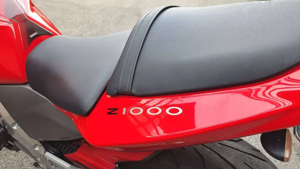 Kawasaki Z 1000 (2003 - 06) (8)