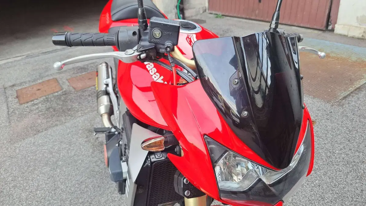 Kawasaki Z 1000 (2003 - 06) (15)