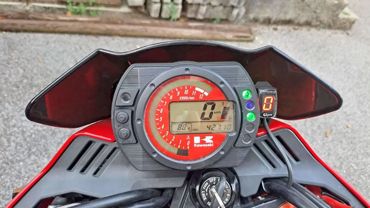 Kawasaki Z 1000 (2003 - 06) (20)