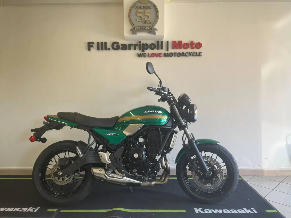 Kawasaki Z 650 RS (2025 - 26) (2)