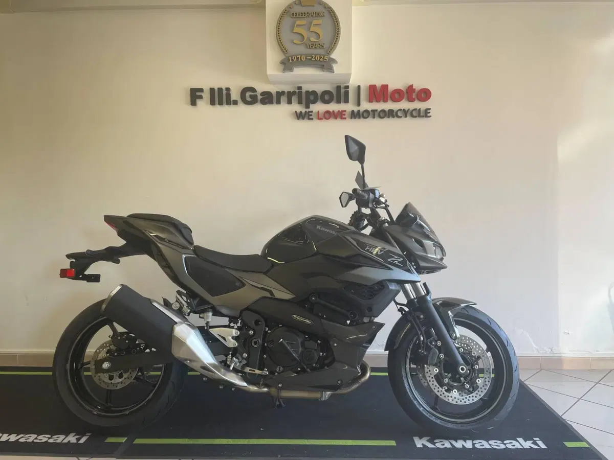 Kawasaki Z7 Hybrid (2024 - 26) (2)