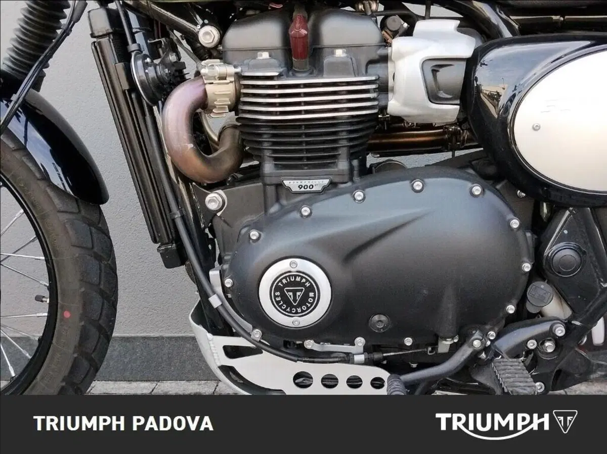 Triumph Scrambler 900 Chrome Edition (2023) (8)