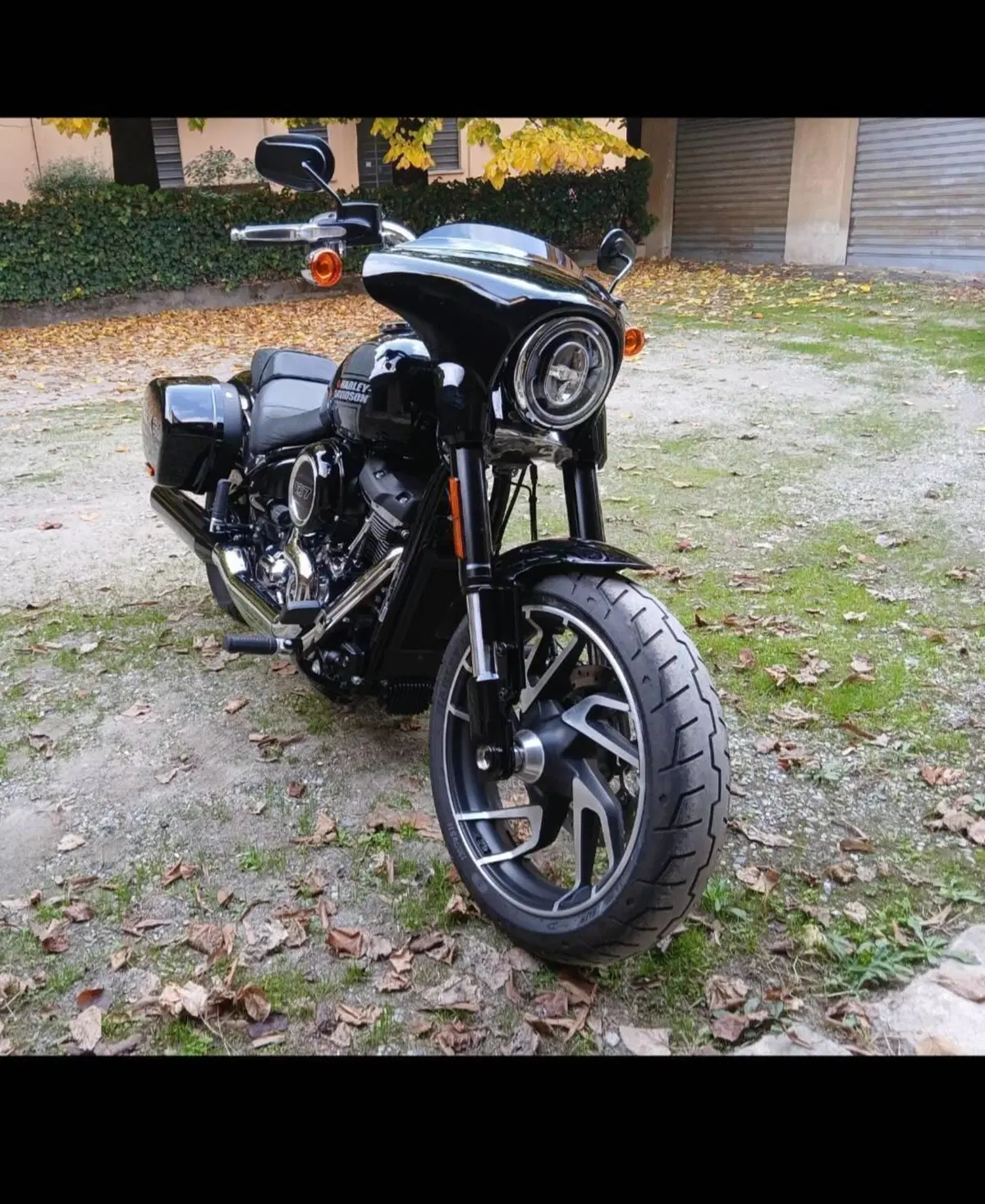 Harley-Davidson Sport Glide (2021 - 25) (2)