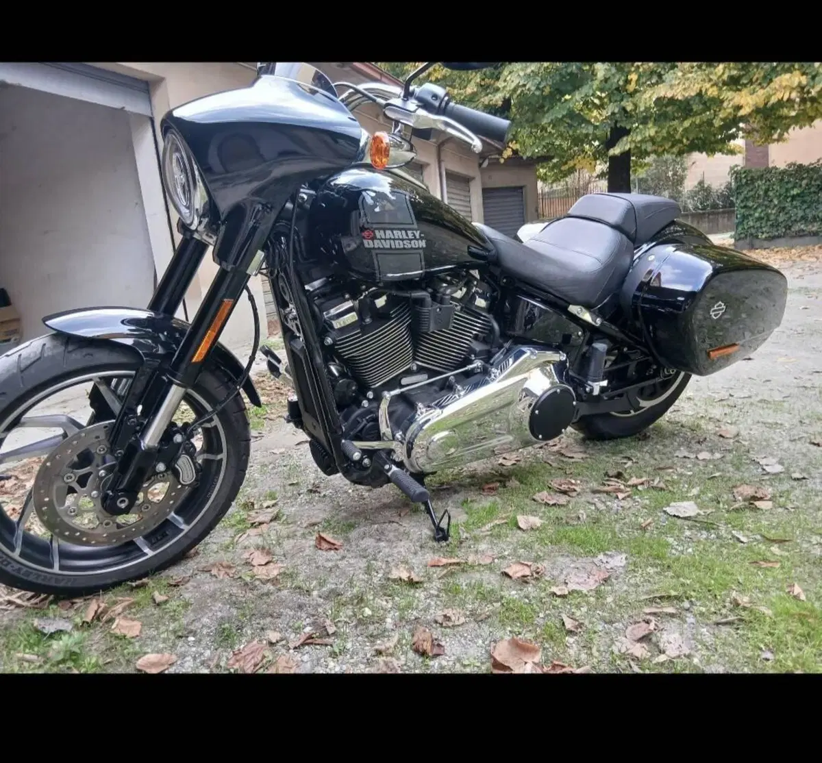 Harley-Davidson Sport Glide (2021 - 25) (3)