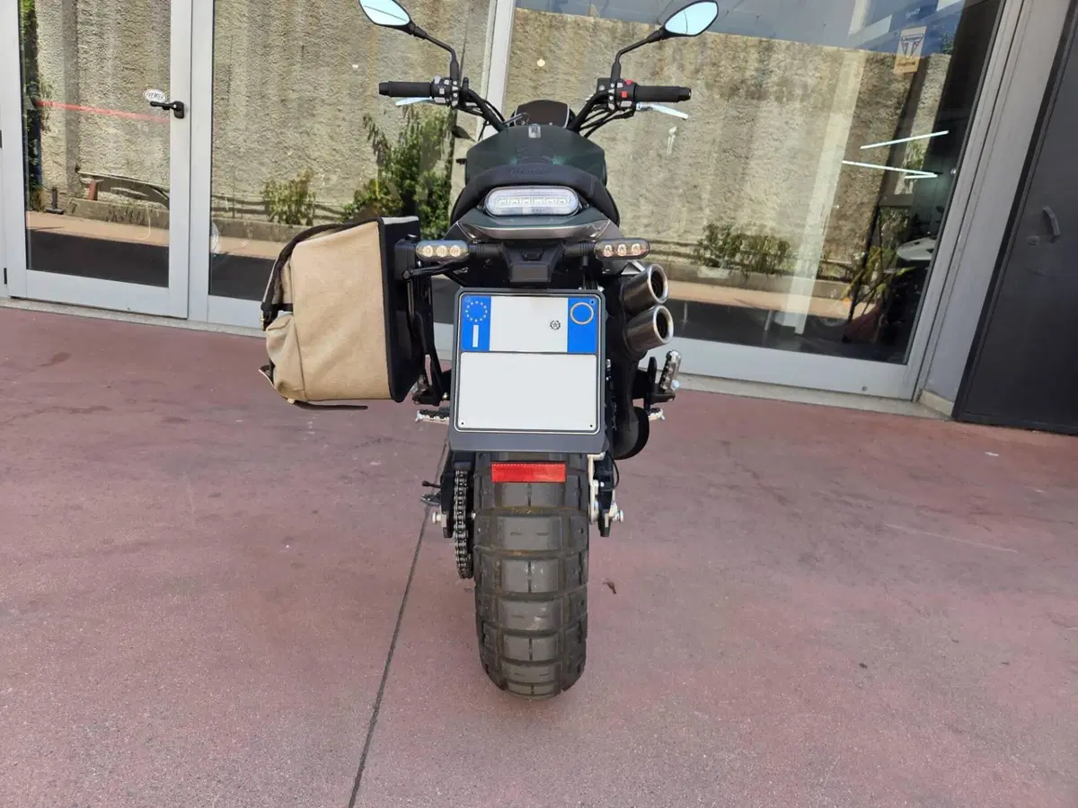Benelli Leoncino 800 Trail (2022 - 26) (10)