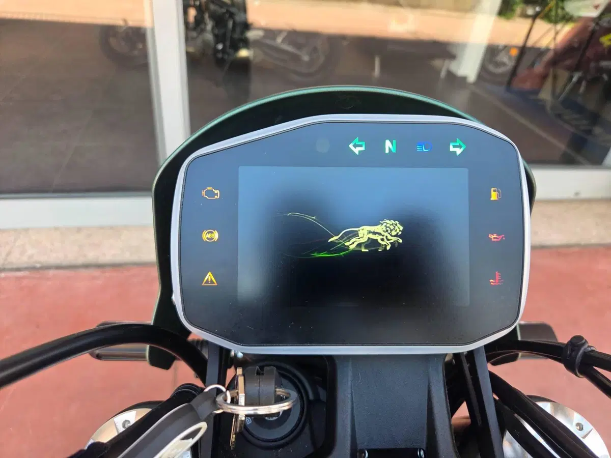 Benelli Leoncino 800 Trail (2022 - 26) (13)