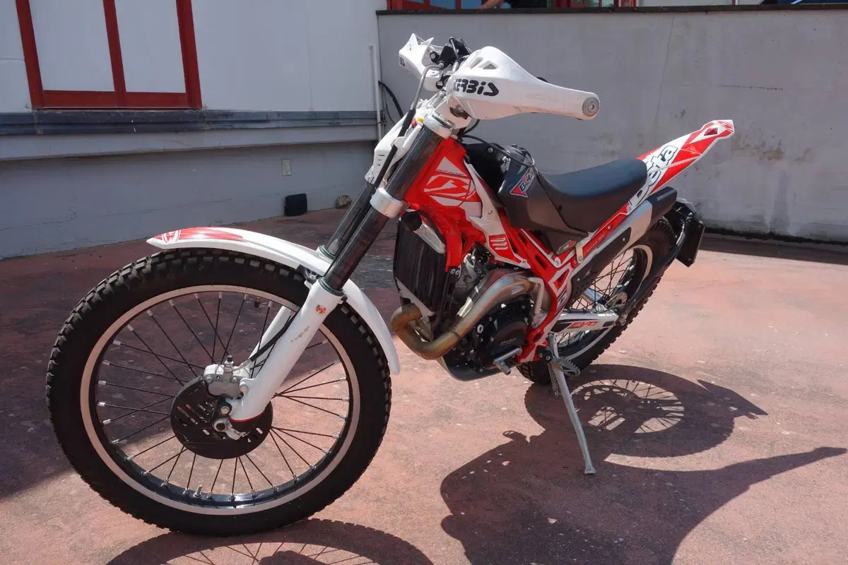 Betamotor Evo 300 2t (2017 - 18) (4)