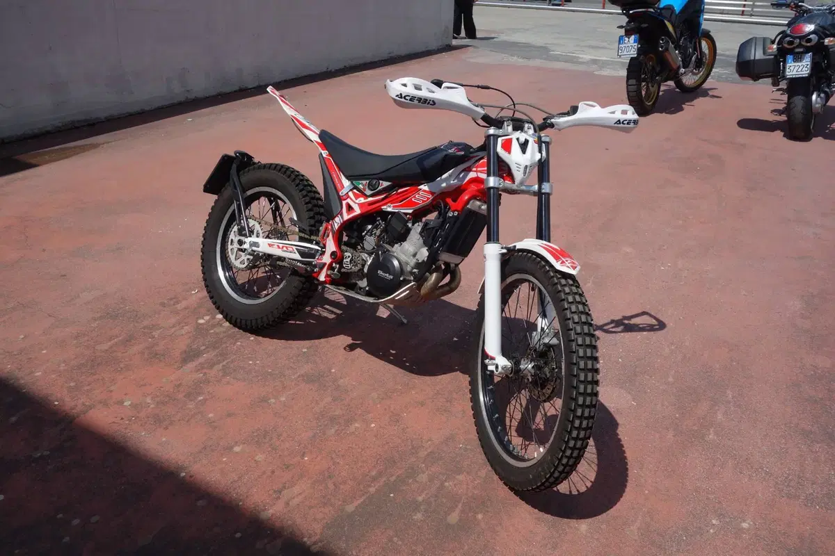 Betamotor Evo 300 2t (2017 - 18) (2)