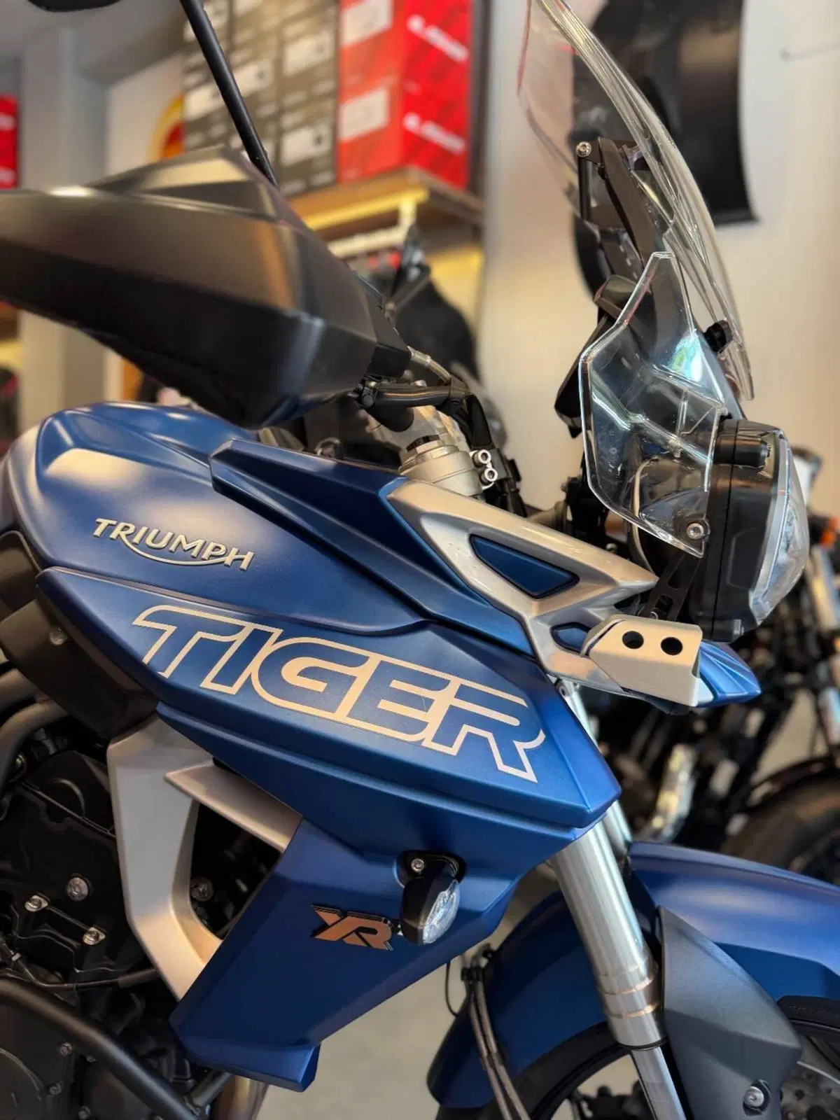 Triumph Tiger 800 XRt (2018 - 20) (15)