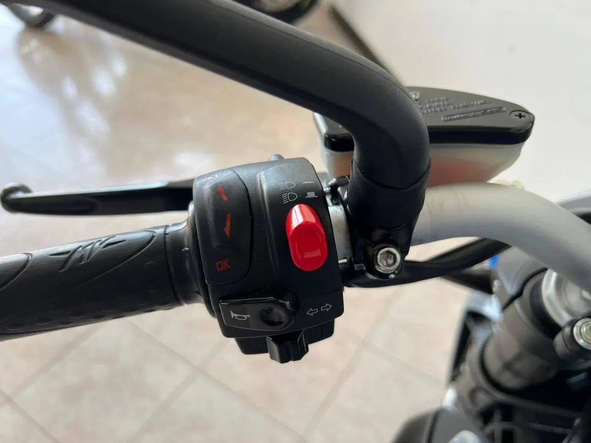 MV Agusta Brutale 800 (2020) (10)