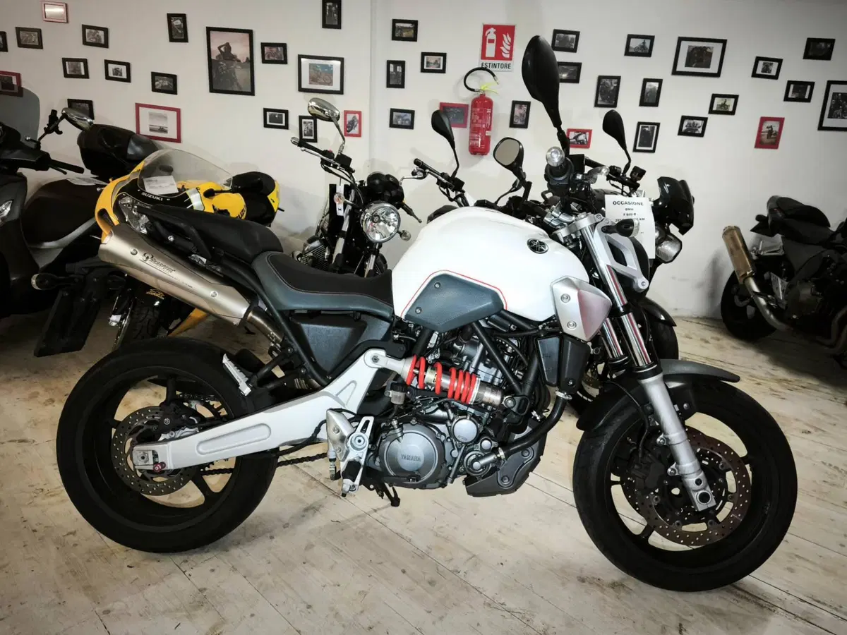Yamaha MT-03 (2006 - 14) (4)