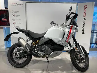 Ducati DesertX (2022 - 25) usata