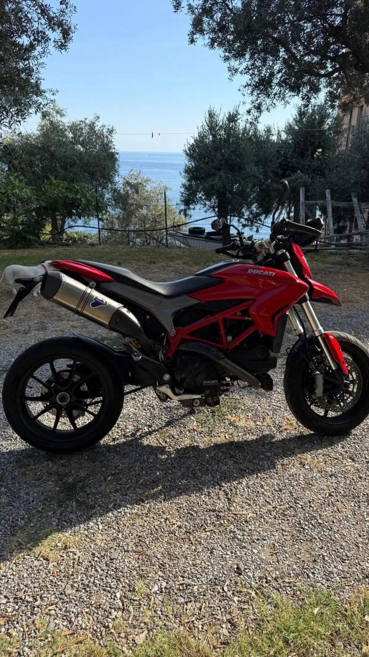 Ducati Hypermotard 939 (2016 - 18) (2)
