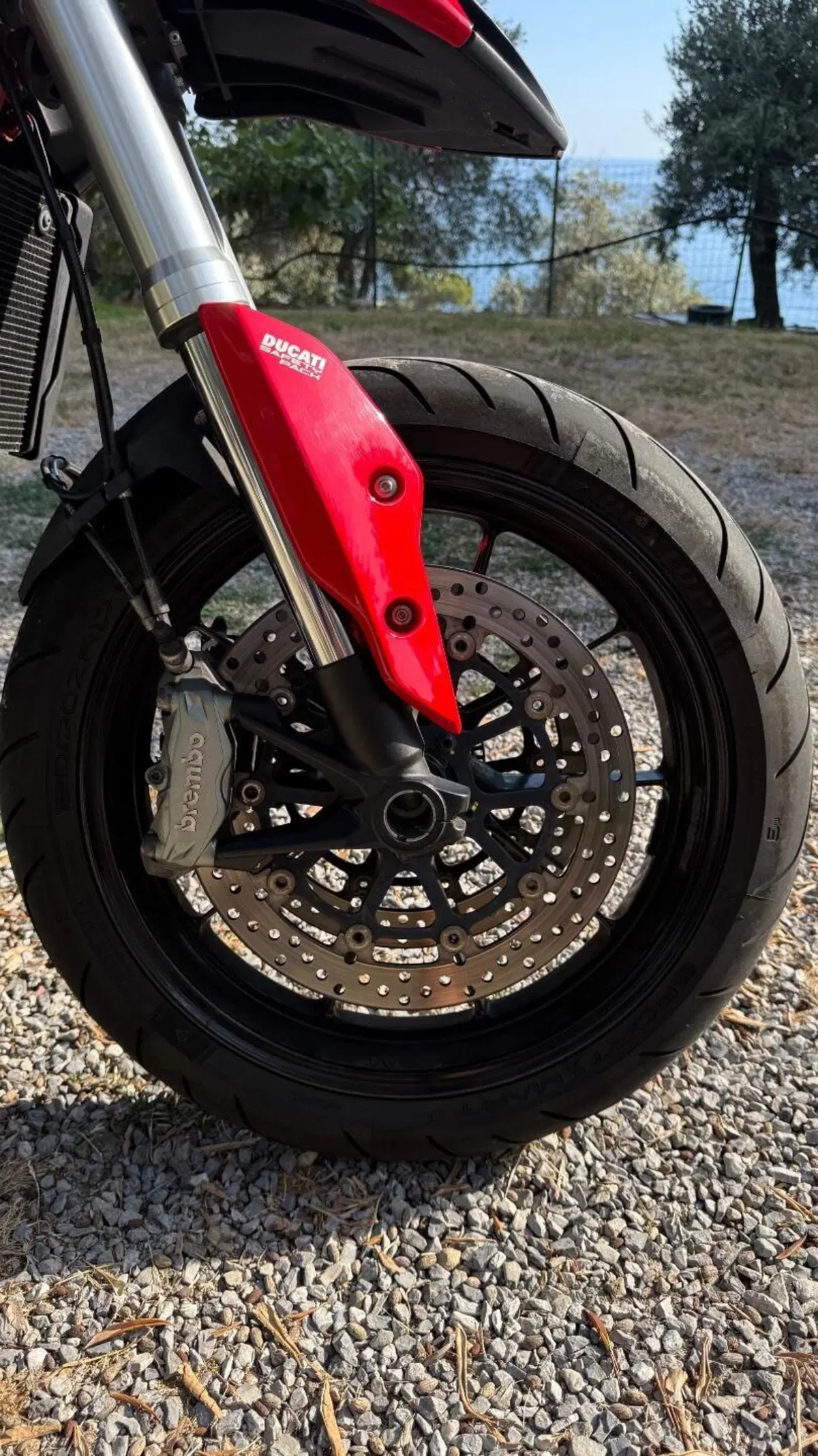 Ducati Hypermotard 939 (2016 - 18) (13)