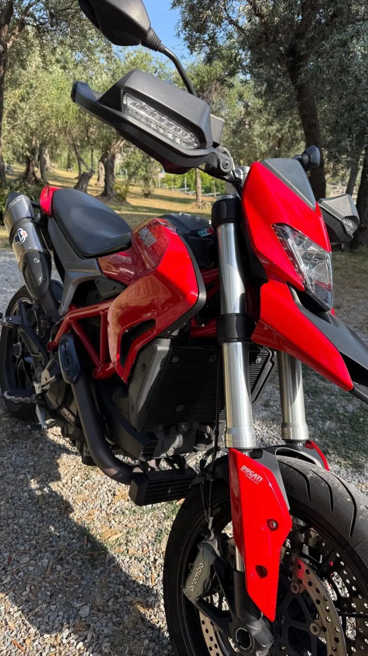 Ducati Hypermotard 939 (2016 - 18) (16)
