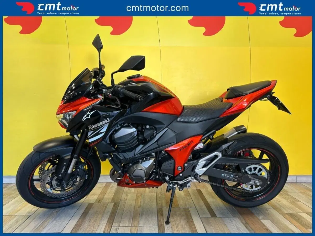 Kawasaki Z 800 Performance ABS (2013) (3)