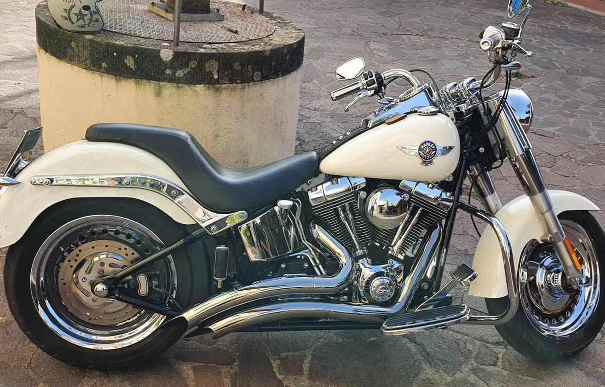 Harley-Davidson 1584 Fat Boy (2008 - 10) - FLSTF (3)