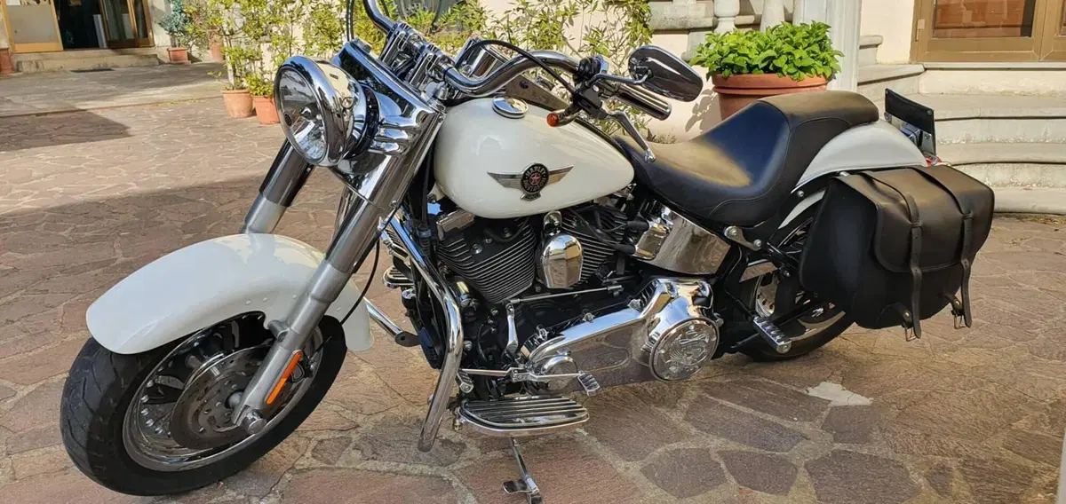 Harley-Davidson 1584 Fat Boy (2008 - 10) - FLSTF (7)