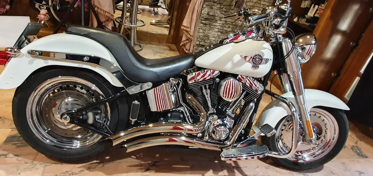 Harley-Davidson 1584 Fat Boy (2008 - 10) - FLSTF (8)