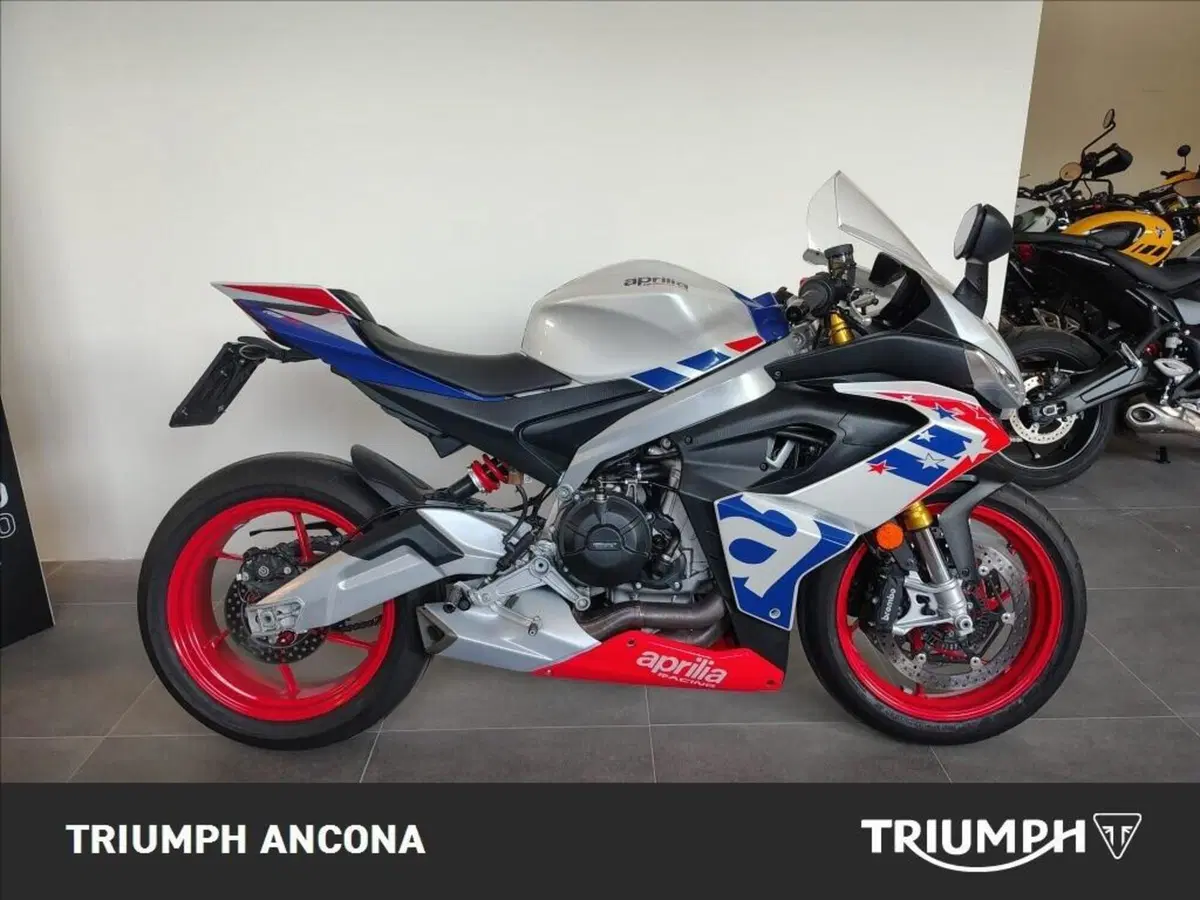 Aprilia RS 660 (2020 - 24) (7)