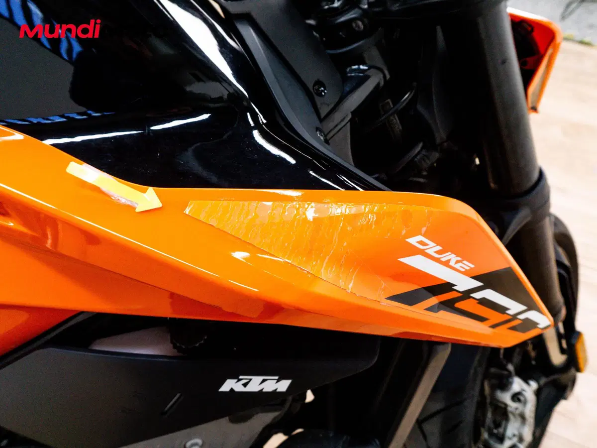 KTM 790 Duke L (2019 - 20) (13)