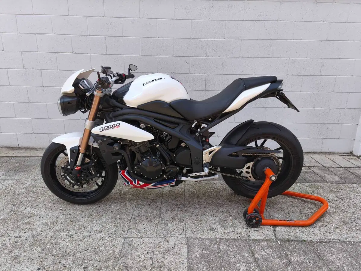 Triumph Speed Triple 1050 ABS (2011 - 15) (2)