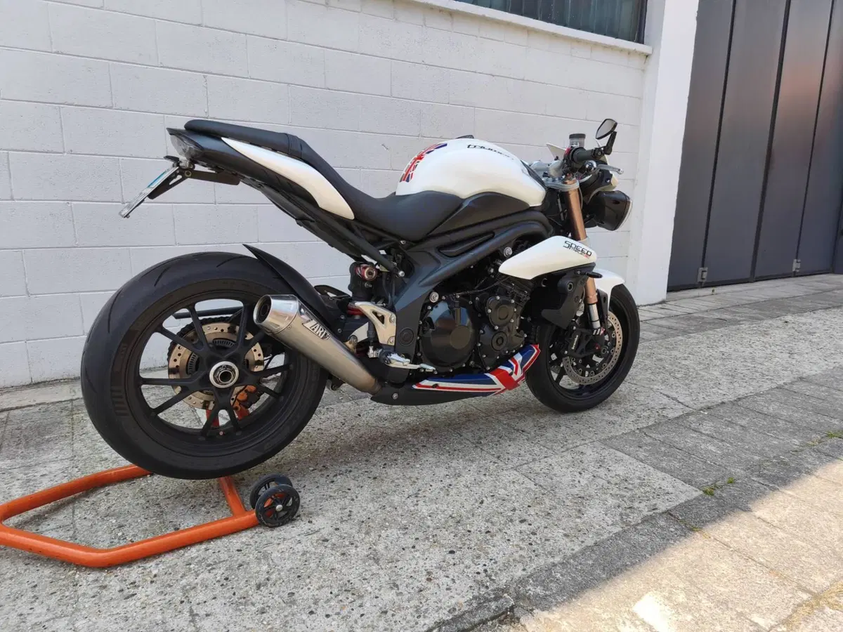 Triumph Speed Triple 1050 ABS (2011 - 15) (3)